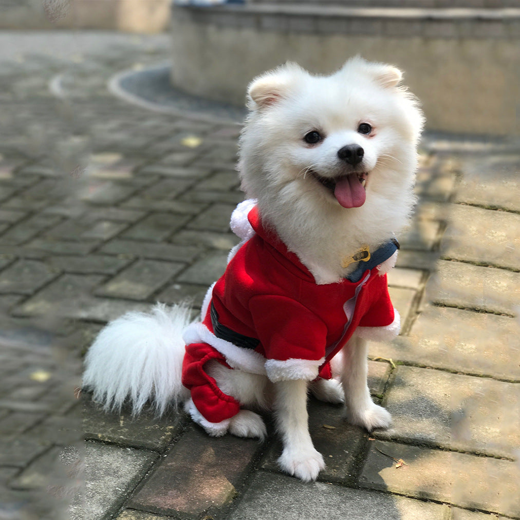 Cuddle Pets Santa Suit